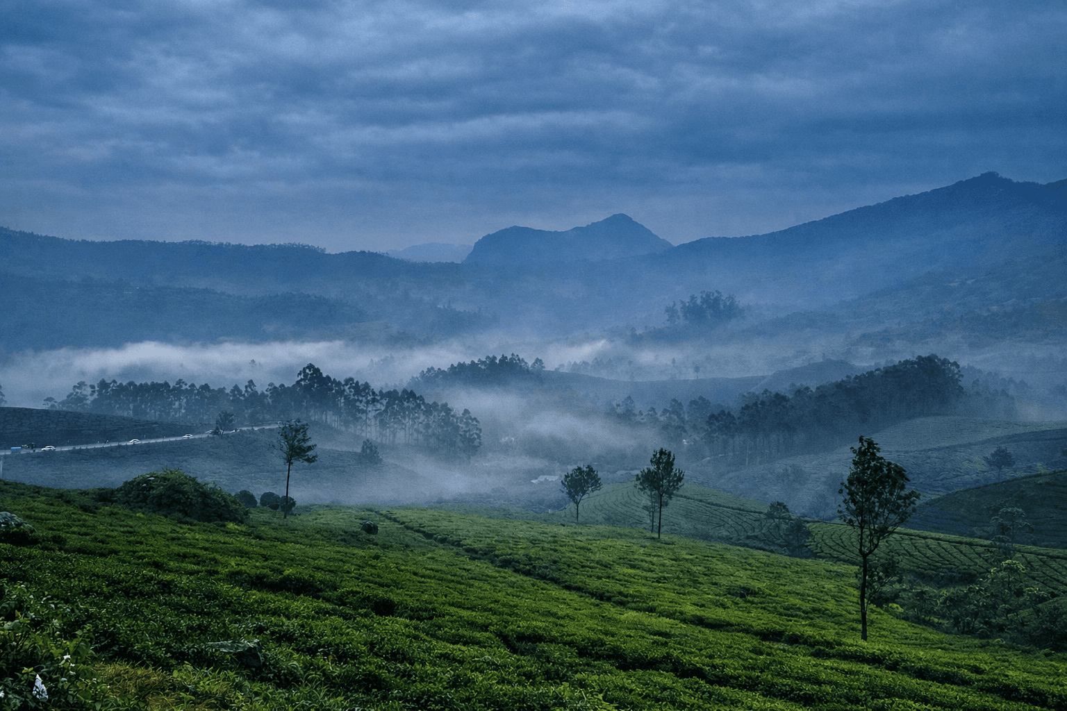 Munnar Mystic