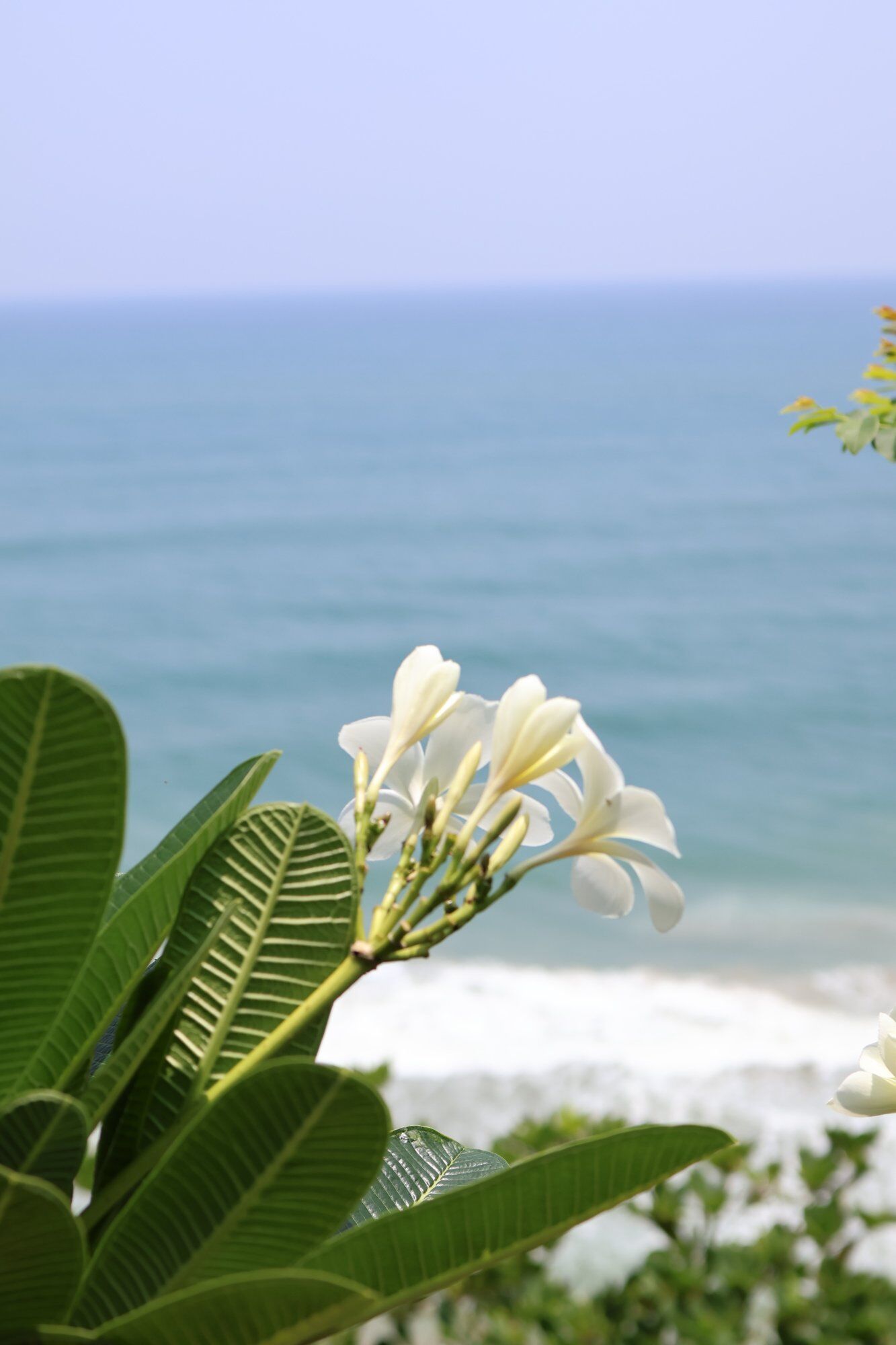 The cliff edge view at Sarwaa